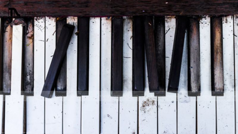 Hư hỏng do mối là một trong những lỗi nghiêm trọng nhất