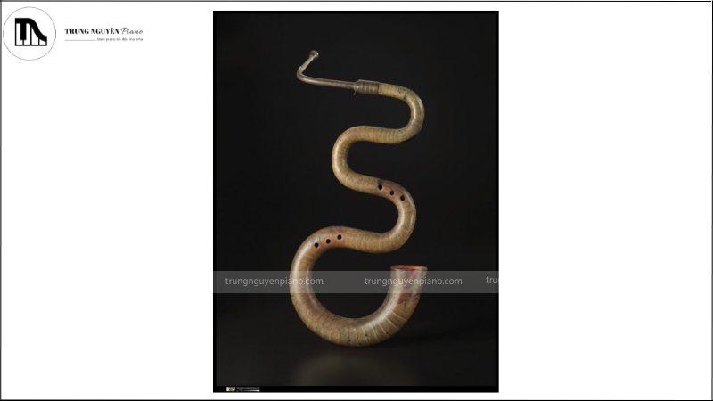 Nhạc cụ độc lạ: Định nghĩa, phân loại và các điểm đặc biệt 9 The Serpent, còn được gọi là "con rắn", là một nhạc cụ hơi cổ xưa