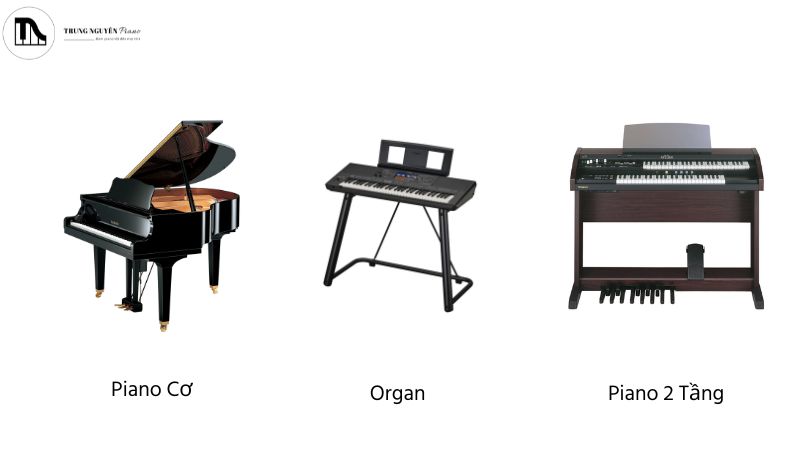 So sánh Piano 2 tầng với Piano cơ và Organ