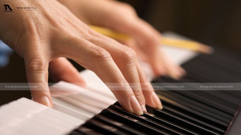 Hãy nhấn phím đàn để kiểm tra độ nhạy và phản hồi