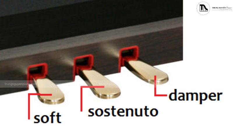 Khu vực 3 pedal của đàn piano cơ