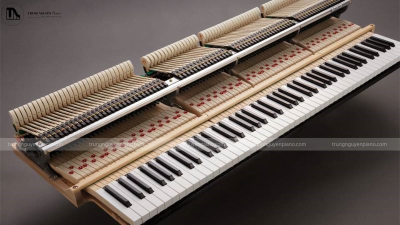 Cấu tạo đơn giản của một bộ máy piano cơ