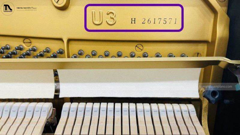 Kiểm tra số serial trên khung gang của đàn piano cơ cũ 30 triệu