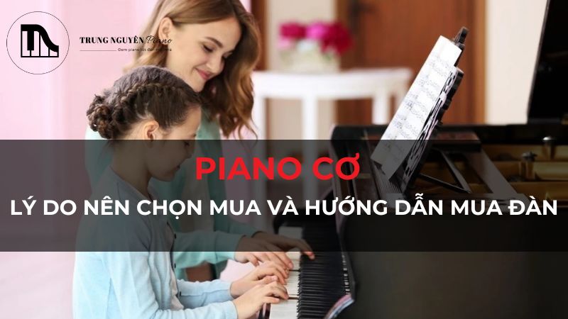 Lý do nên chọn mua piano cơ và hướng dẫn mua đàn chuẩn chuyên gia