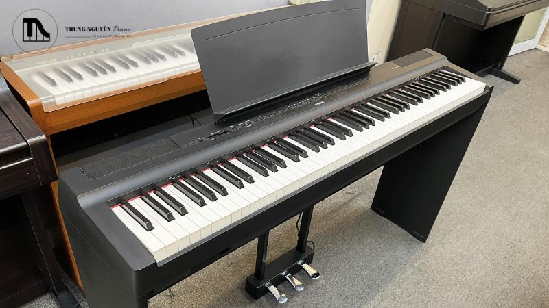 Mua đàn piano cơ cũ cần kiểm tra những gì quan trọng nhất?