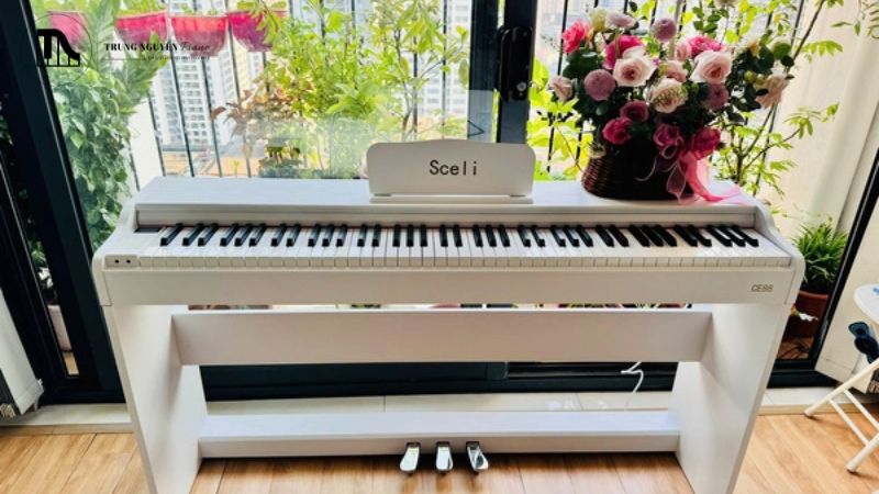 Người mới bắt đầu nên chọn piano điện nhỏ gọn nào?