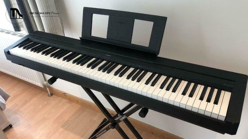 Thương hiệu piano điện nổi tiếng 