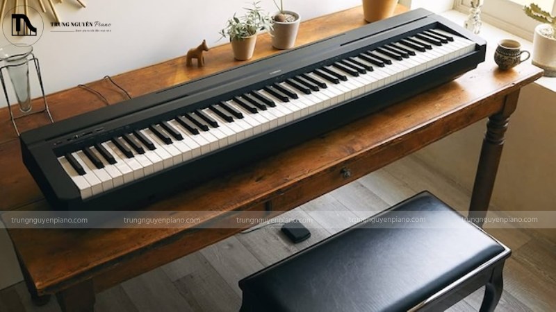 Piano điện phím nặng