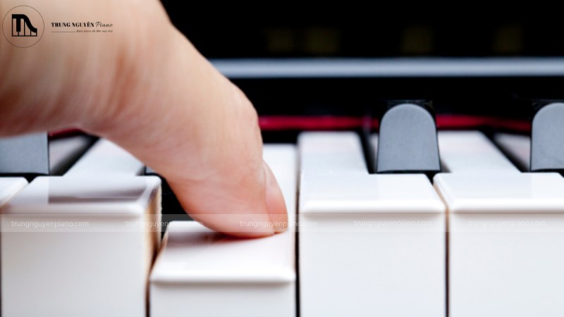 Piano phím nặng - Weighted phù hợp cho người muốn luyện ngón