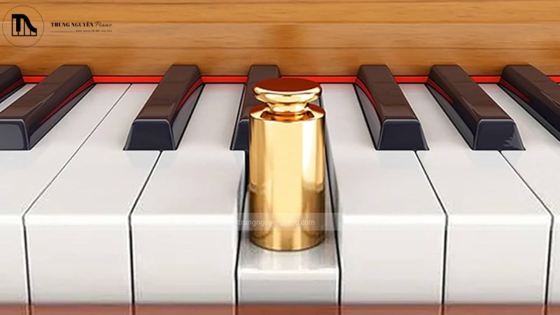 Hammer Action cho cảm giác đàn hồi theo lực nhấn cùng âm thanh có độ động cao