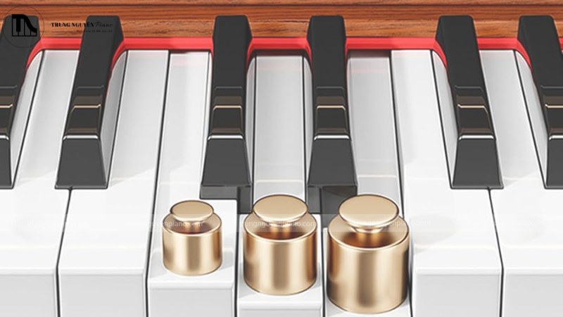 Graded Hammer Action cho cảm giác như chơi trên chiếc đàn cơ