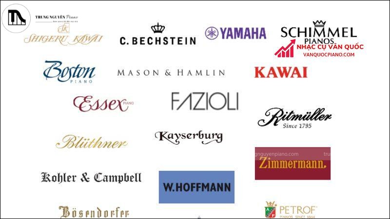 Một số thương hiệu đàn uy tín nên tham khảo