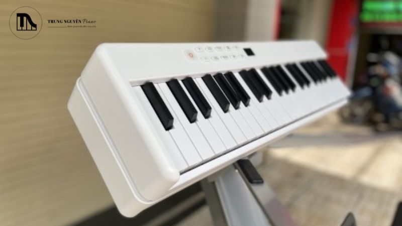 Ngoài yếu tố giá cả, piano gấp gọn còn rất thân thiện với người mới bắt đầu học piano