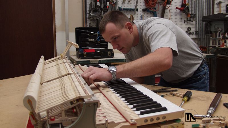 Regulation Piano ảnh hưởng như thế nào đến hành trình phím