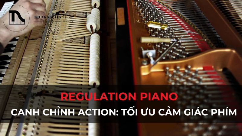 Regulation Piano (Canh chỉnh Action): Tối ưu cảm giác phím