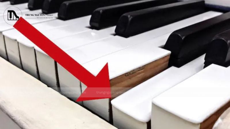 Bàn phím piano điện bị kẹt, dính, không nảy, liệt phím hoặc mất tiếng một vài phím  