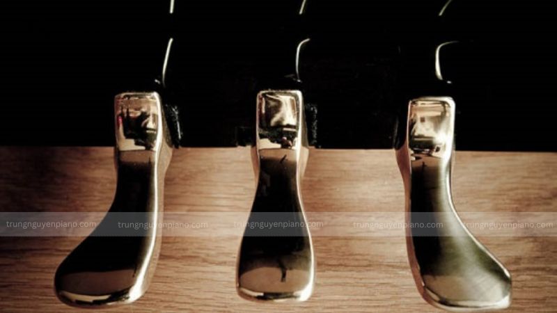 Pedal Sustain(vang) không hoạt động