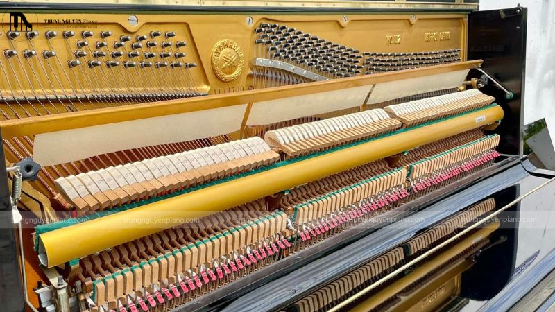 Lý do nên chọn Trung Nguyên Piano để Voicing