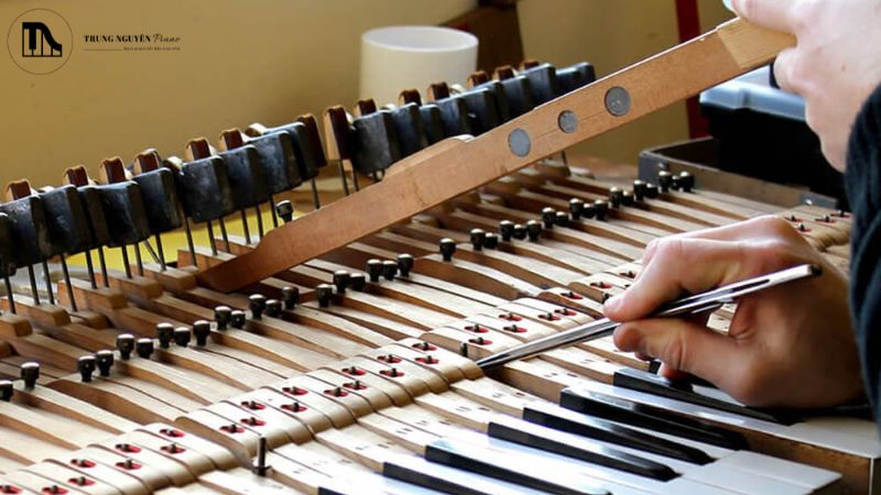 Lý do nên canh chỉnh Regulation Piano