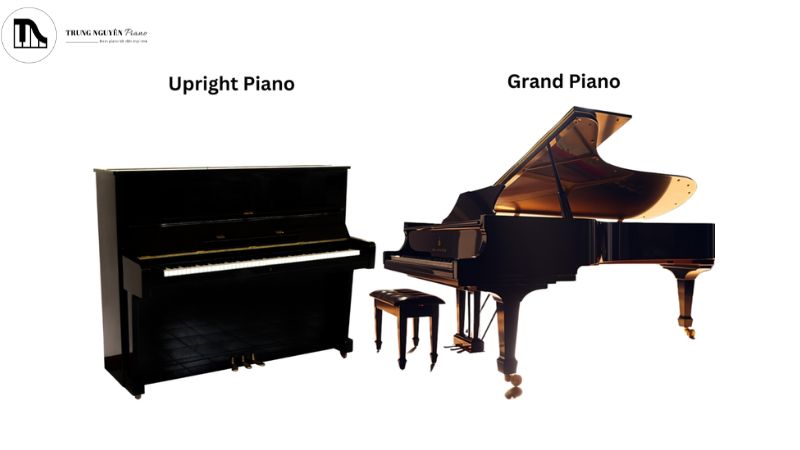 Thuê piano sự kiện: kinh nghiệm tránh rủi ro từ chuyên gia 5 Upright Piano và Grand Piano