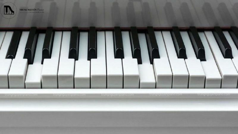 Thuê piano sự kiện: kinh nghiệm tránh rủi ro từ chuyên gia 7 Các phím đàn có thể bị kẹt