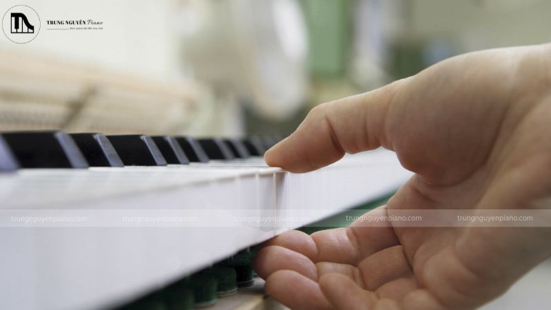 Thuê piano sự kiện: kinh nghiệm tránh rủi ro từ chuyên gia 9 Nhân viên điều chỉnh âm thanh cho cây piano tại địa điểm tổ chức sự kiện