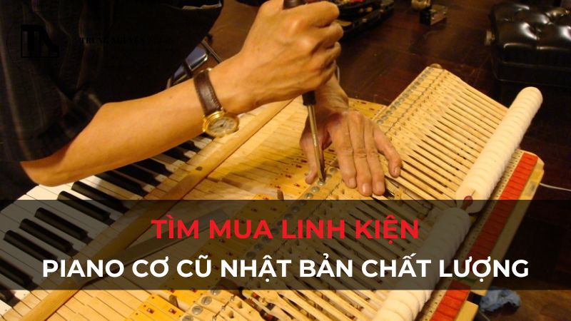 tim mua linh kien piano co cu nhat ban chat luong