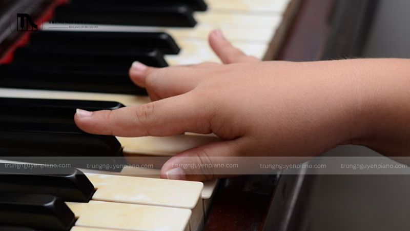 Tư thế tay piano chuẩn: 6 lỗi sai & cách khắc phục nhanh chóng 1 Khi ngón tay tiếp xúc phím đúng cách, lực được truyền đi hiệu quả