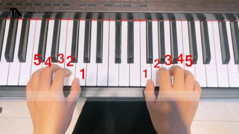 Tư thế tay piano chuẩn: 6 lỗi sai & cách khắc phục nhanh chóng 14 Việc duy trì tư thế đúng là một quá trình liên tục đòi hỏi sự ý thức và kỷ luật