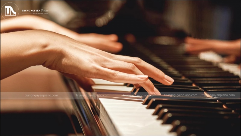 Giá cả của nhạc cụ rất đa dạng, từ vài trăm nghìn đến hàng trăm triệu đồng