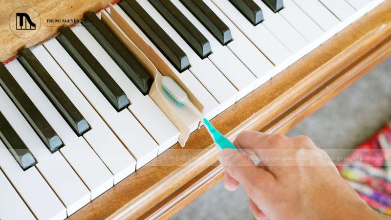 Việc vệ sinh piano cơ không chỉ đơn thuần là giữ cho cây đàn trông đẹp mắt hơn