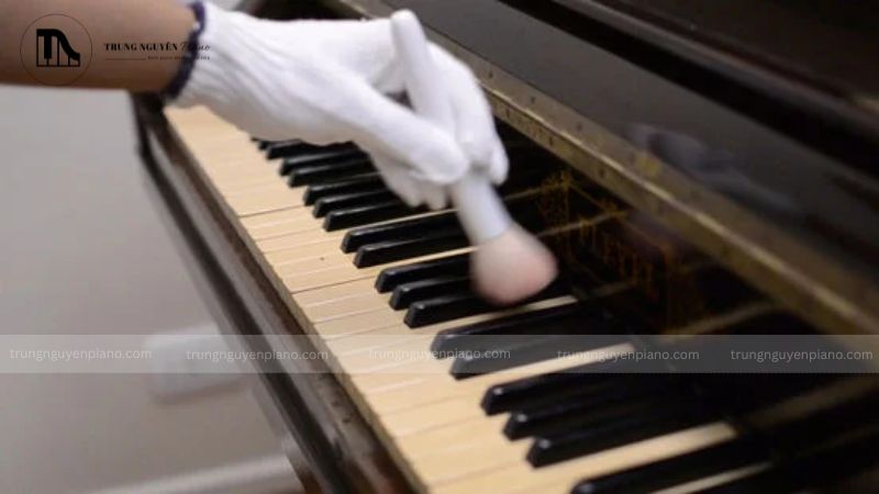 Việc giữ gìn vệ sinh phím đàn piano là rất quan trọng