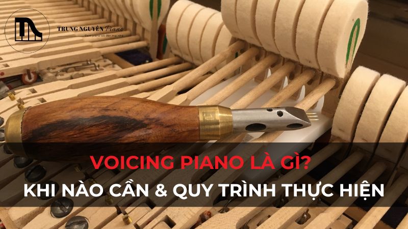 Voicing Piano là gì: Khi nào cần & Quy trình thực hiện chuyên nghiệp