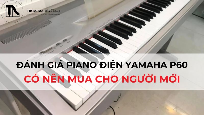 Đánh giá đàn piano điện Yamaha P60: Có nên mua cho người mới?