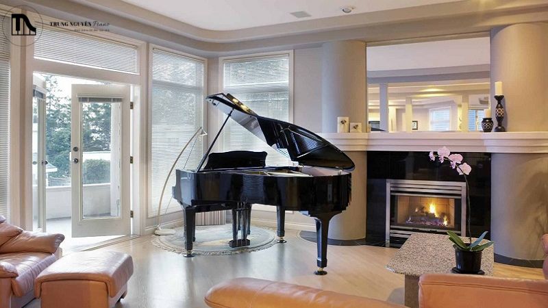 Đánh giá grand piano