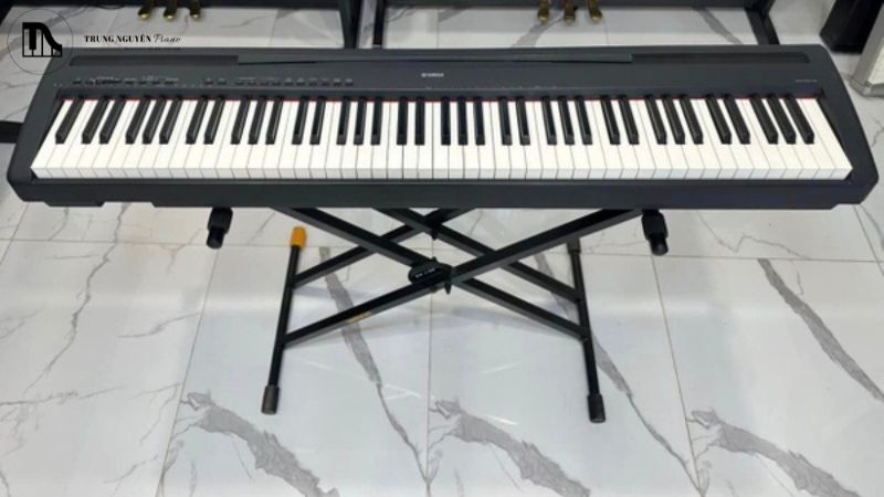 Cách lựa chọn chân đàn organ