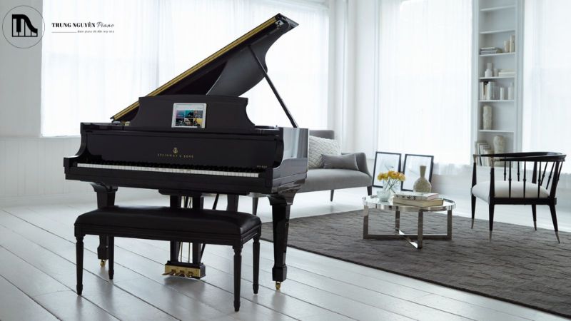 Nhận xét về âm thanh đàn piano Steinway & Sons
