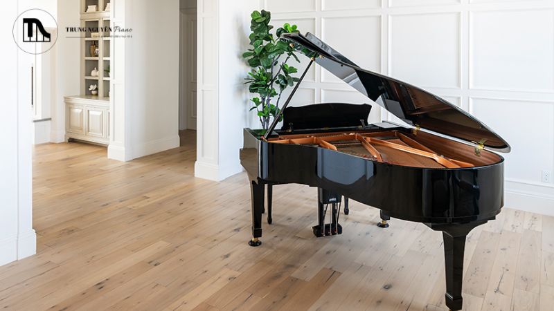 Các dòng piano điện cao cấp ngày nay sử dụng công nghệ lấy mẫu và mô hình hóa rất tiên tiến