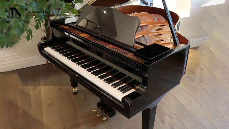 Âm thanh Grand Piano cơ và Digital