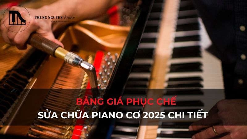 Bảng giá phục chế, sửa chữa piano cơ 2025 chi tiết tại Trung Nguyên Piano