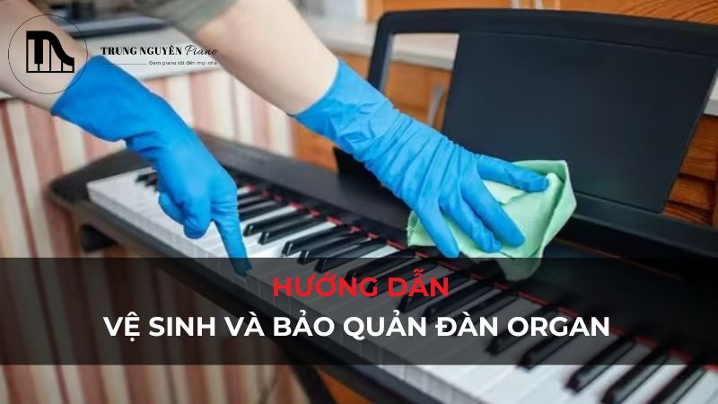 Vệ sinh và bảo quản đàn organ đúng cách: Giữ đàn luôn bền đẹp