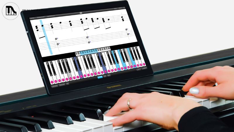 Hướng dẫn học đàn organ cho người lớn tuổi