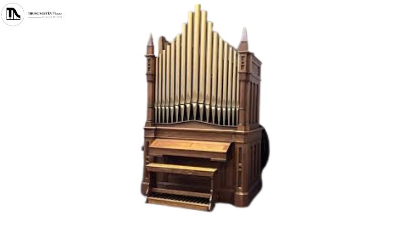 Một cây đàn organ nhà thờ (Pipe Organ)