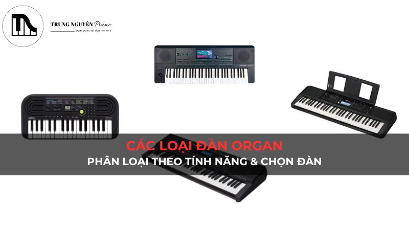 Các loại đàn organ: Phân loại theo tính năng & chọn đàn