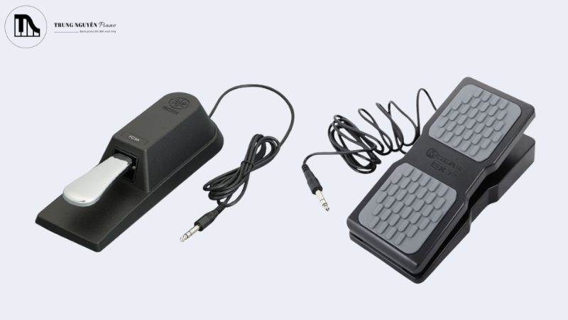 Những loại Pedal organ phổ biến