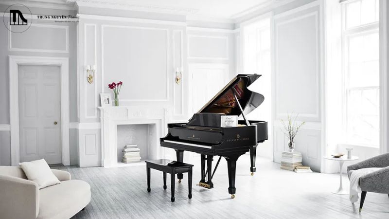 Lưu ý khi mua đàn Upright Piano và Grand Piano