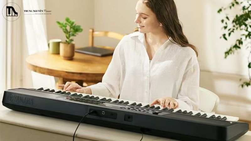 Cách quản lý và chăm sóc đàn organ đúng