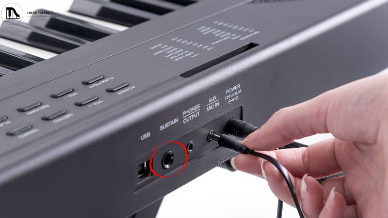 Cách sử dụng pedal sustain organ hiệu quả: Cắm & chơi chuyên nghiệp 2 Tìm cổng "SUSTAIN" ở phía sau đàn organ