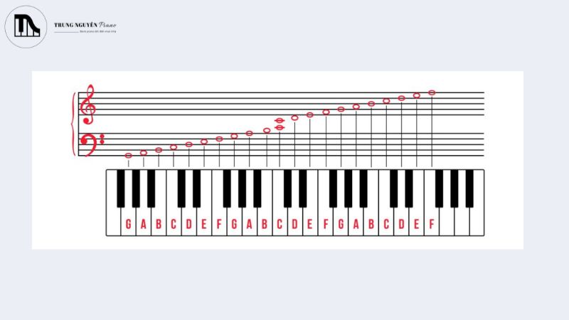Xác định các nốt trên đàn organ