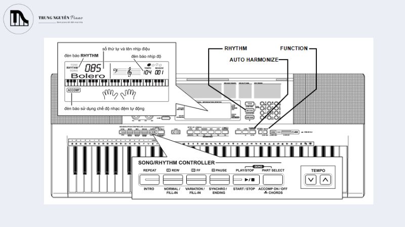 Cấu tạo của đàn organ